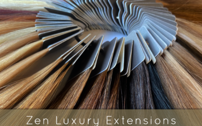 Zen Hair Extensions – Investment in Beauty